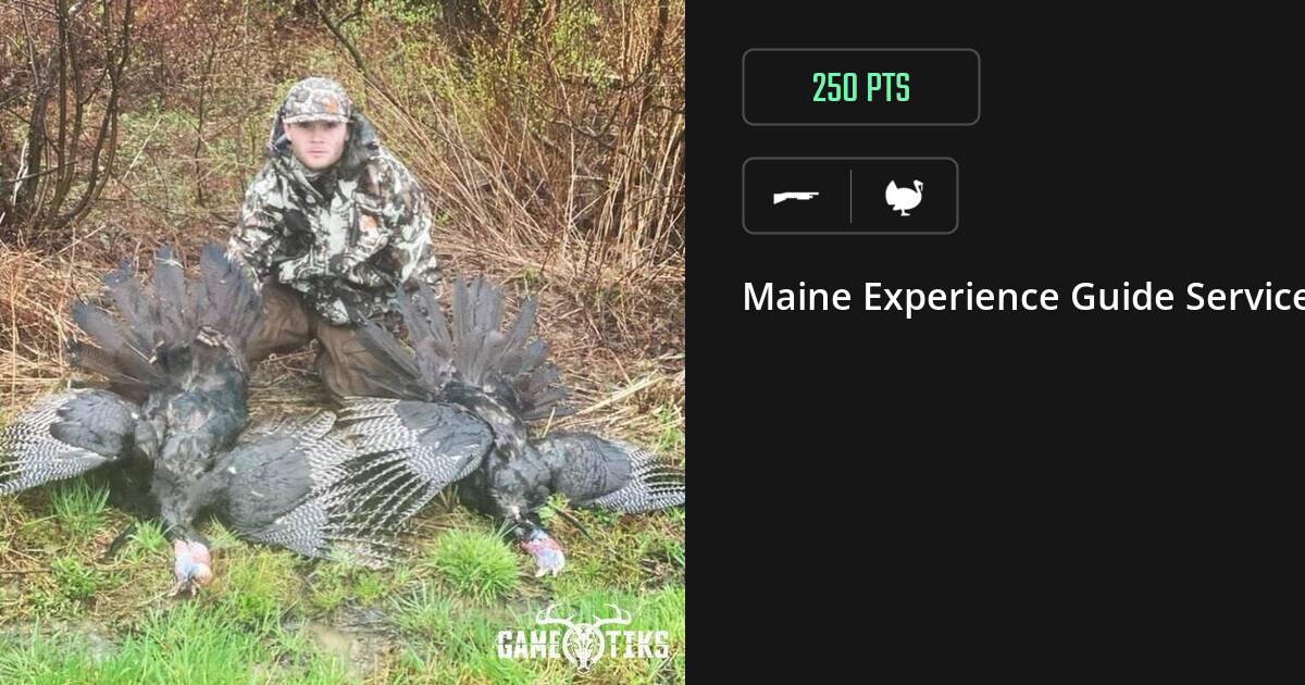 Turkey harvest on Gametiks