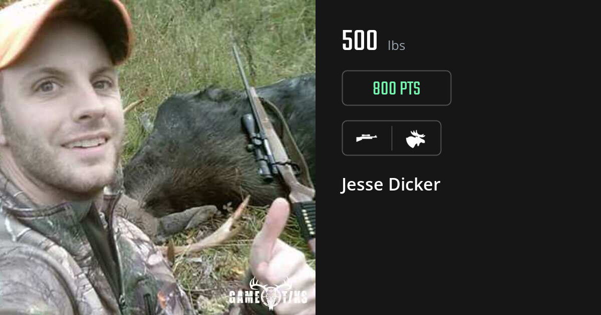Moose harvest on Gametiks