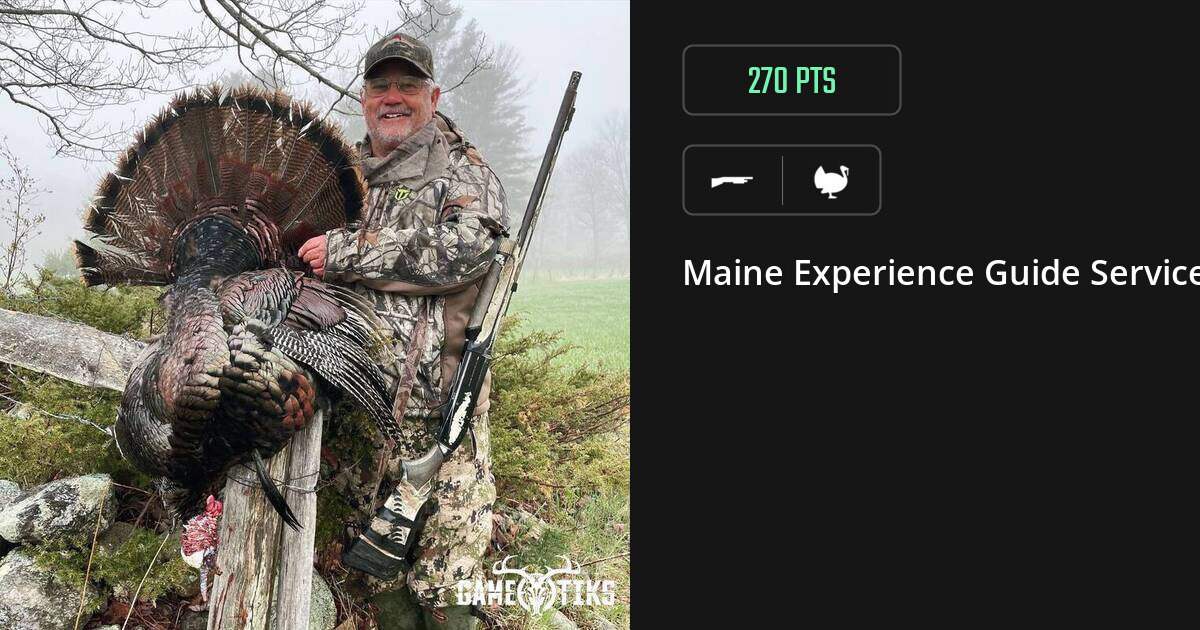 Turkey harvest on Gametiks