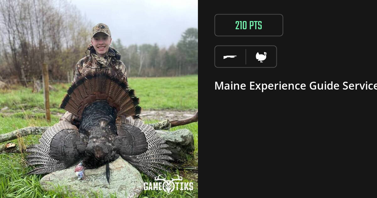 Turkey harvest on Gametiks
