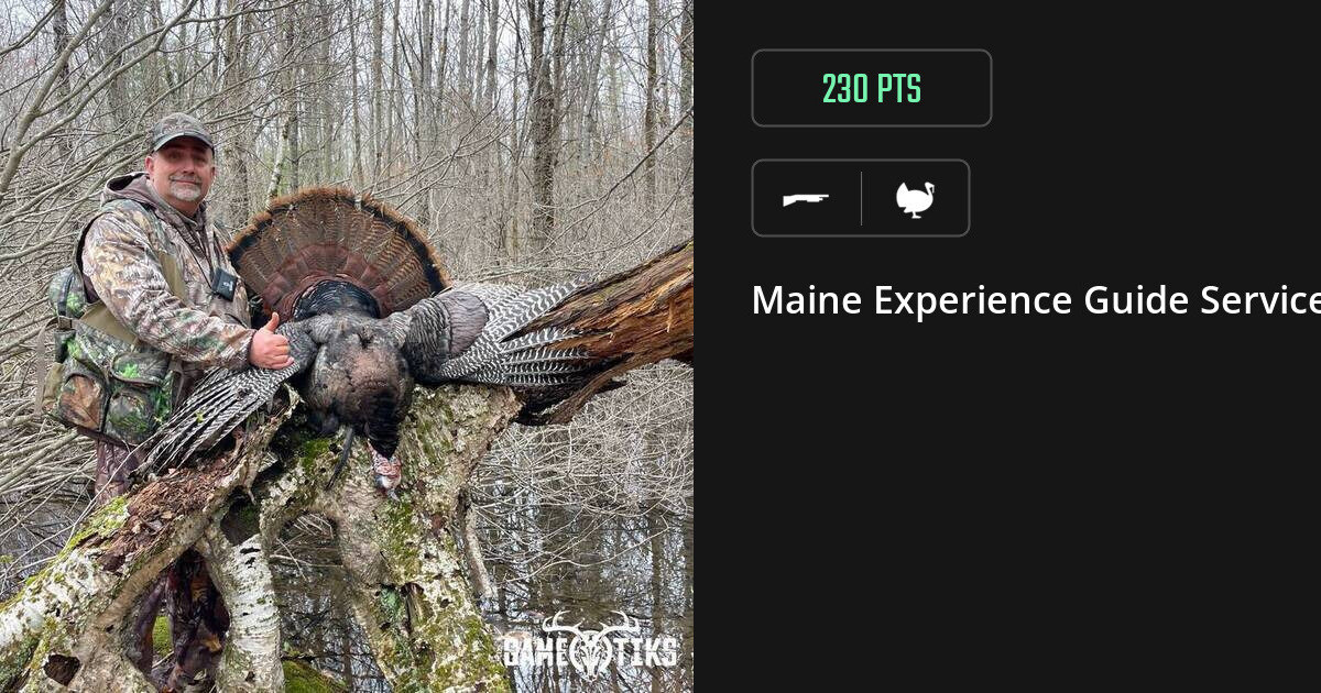 Turkey harvest on Gametiks
