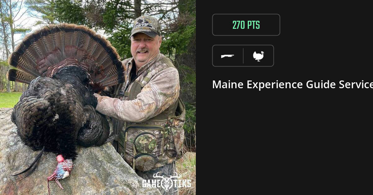 Turkey harvest on Gametiks