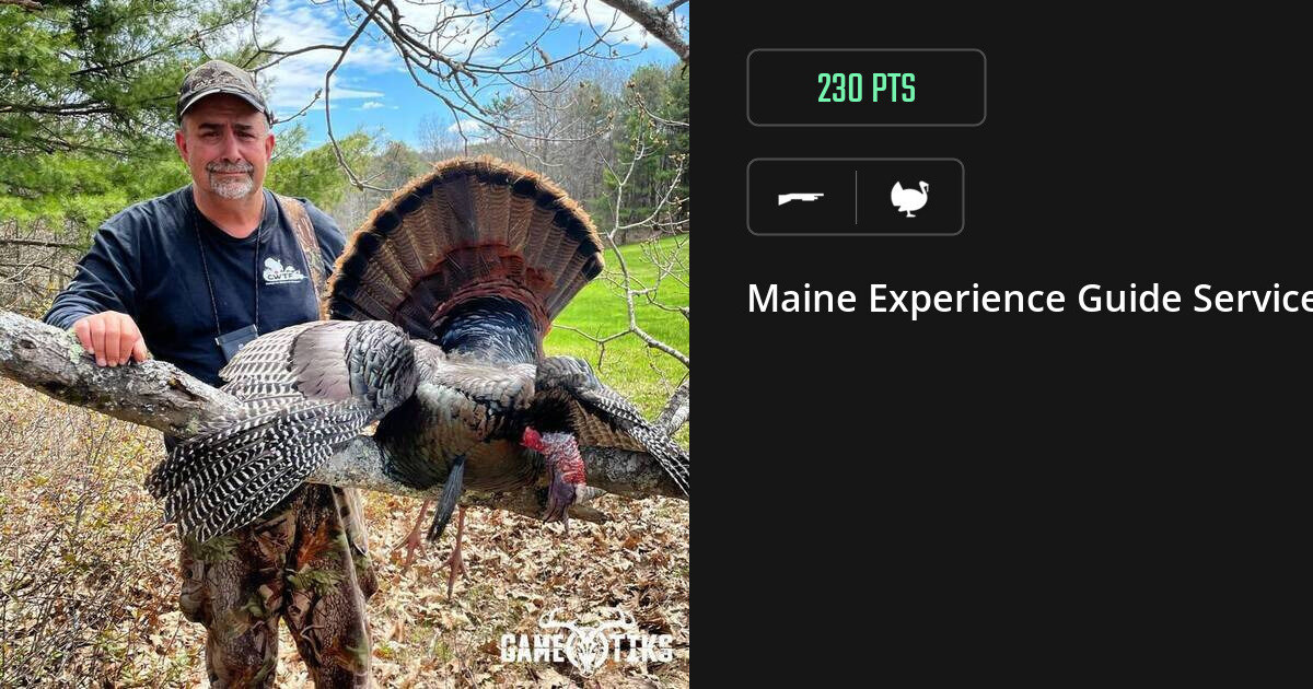 Turkey harvest on Gametiks