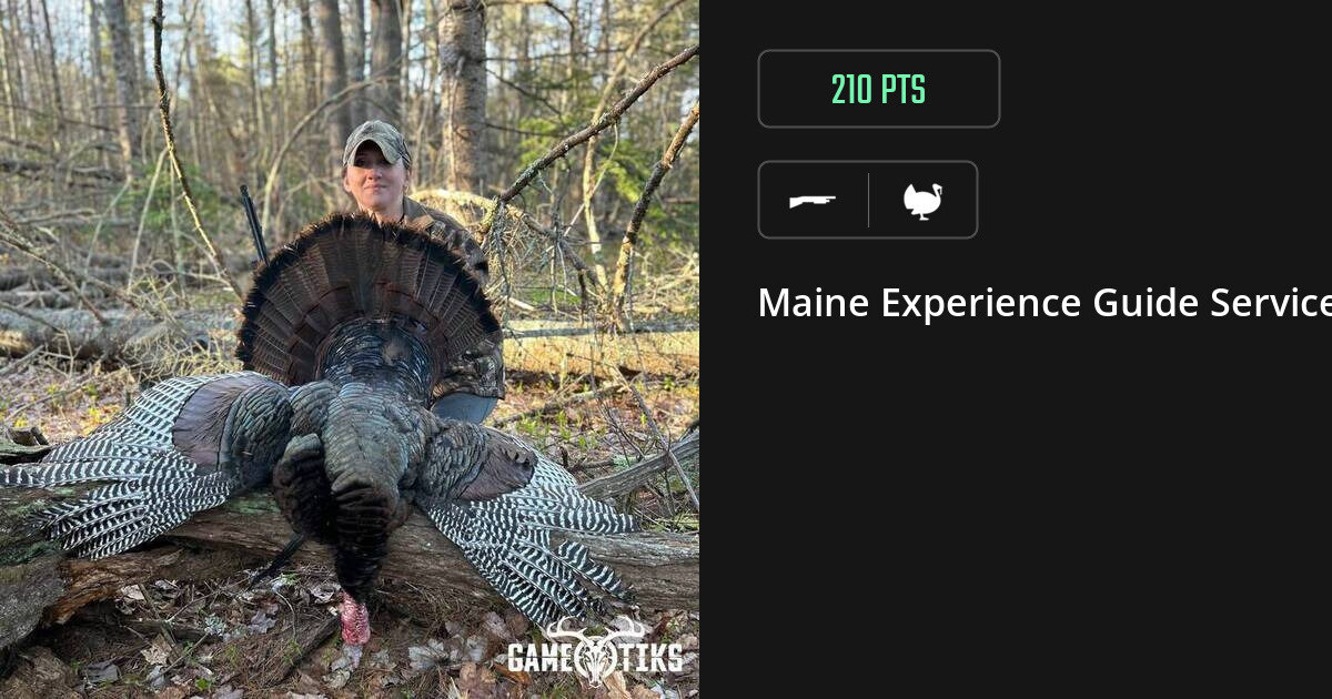 Turkey harvest on Gametiks