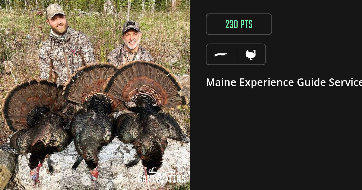 Turkey harvest on Gametiks