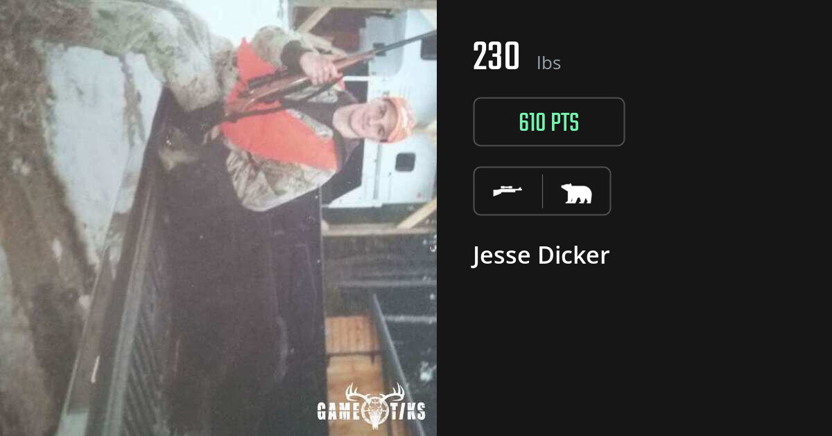 Bear harvest on Gametiks