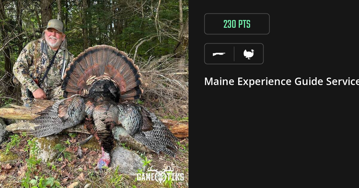 Turkey harvest on Gametiks