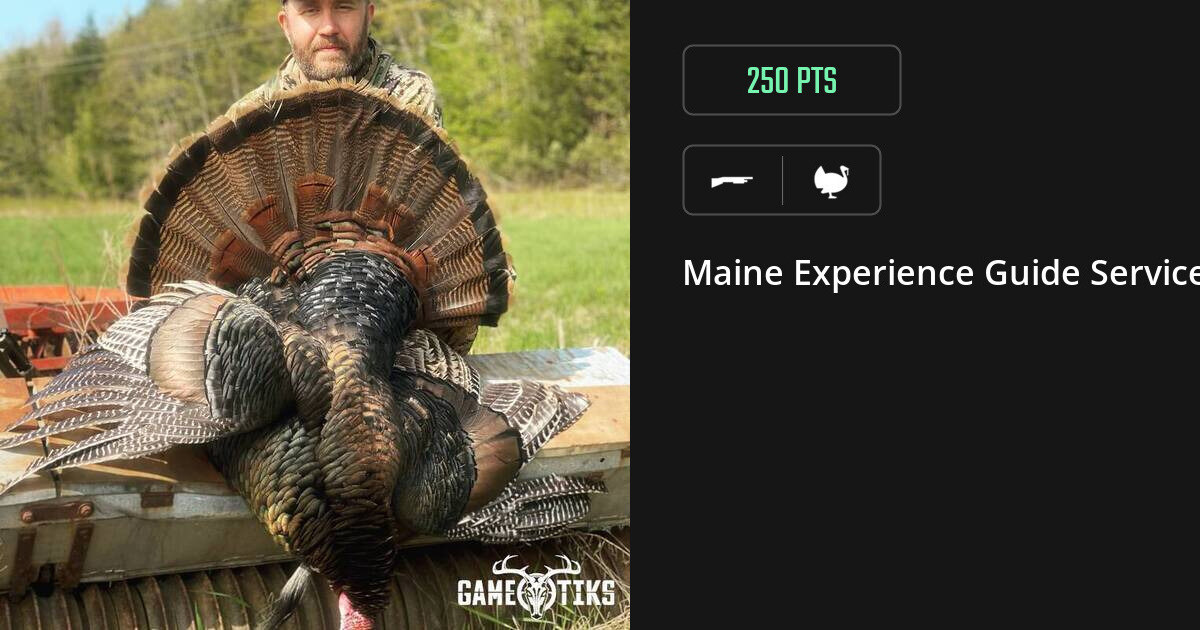 Turkey harvest on Gametiks