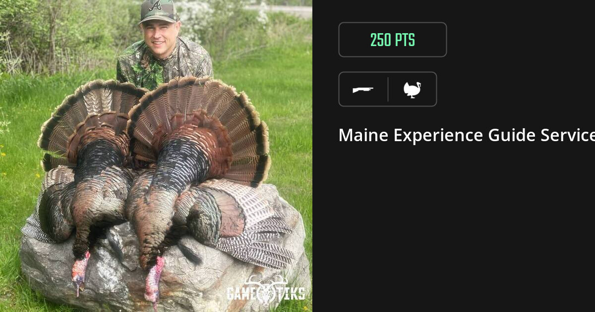 Turkey harvest on Gametiks