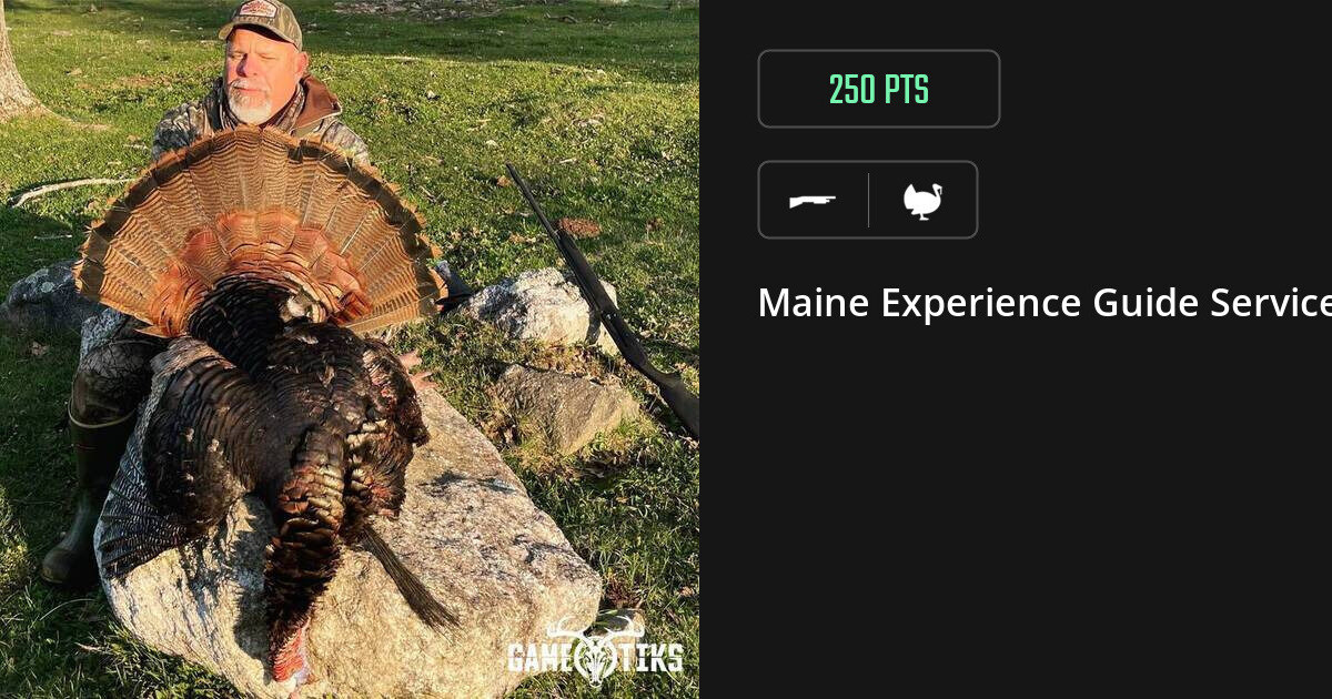 Turkey harvest on Gametiks