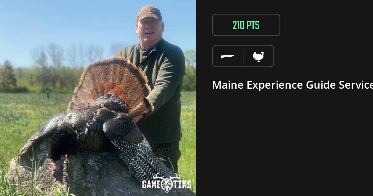 Turkey harvest on Gametiks