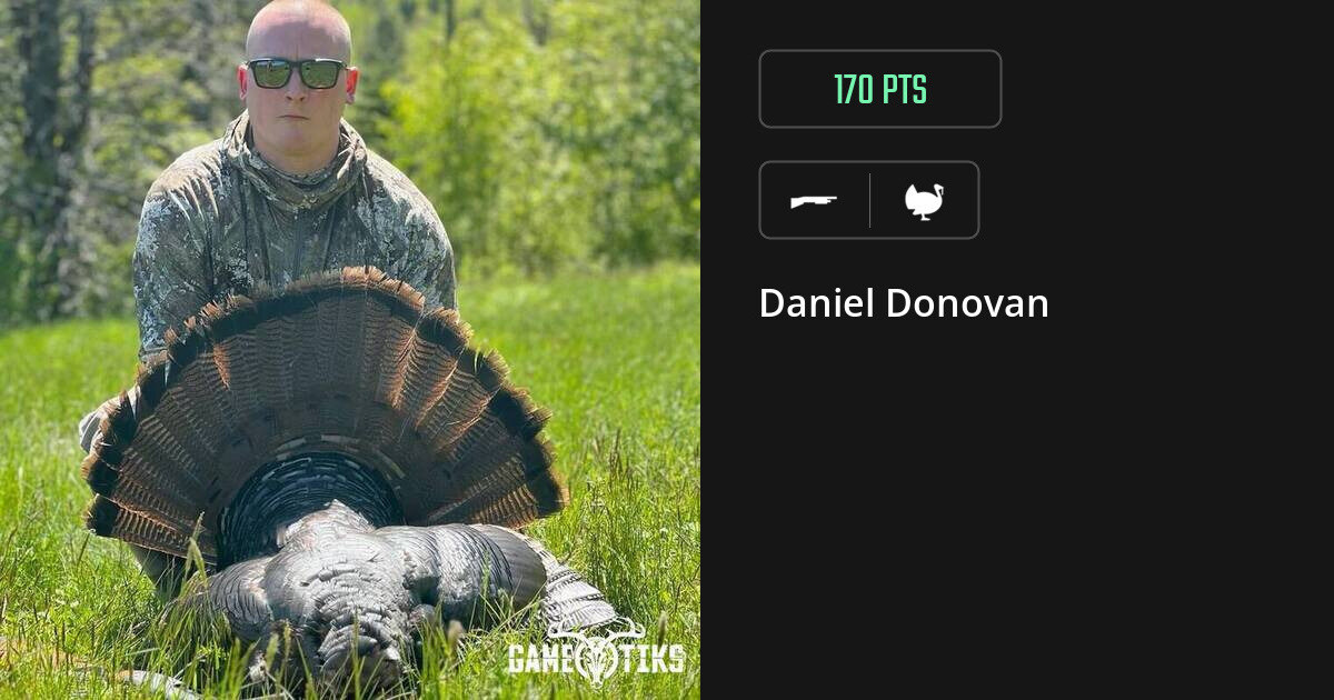 turkey harvest by Daniel Donovan