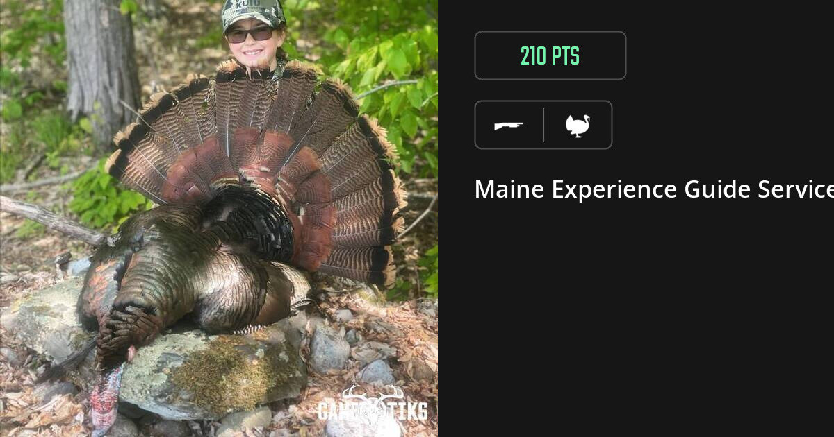 Turkey harvest on Gametiks
