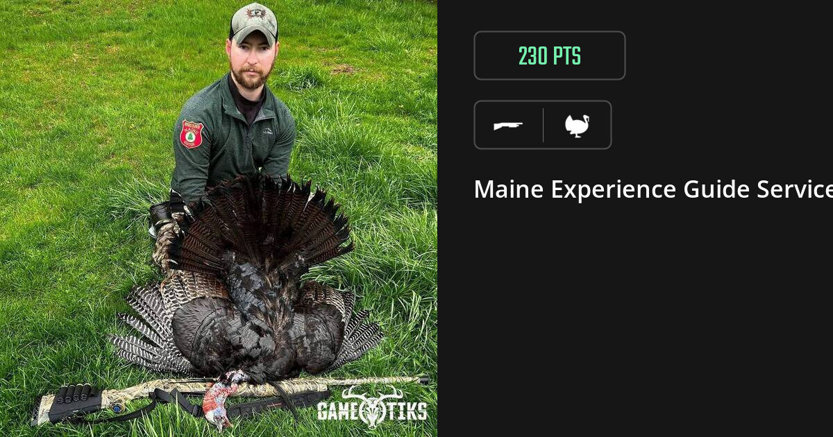 Turkey harvest on Gametiks