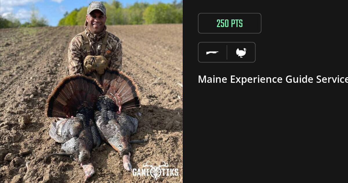 Turkey harvest on Gametiks