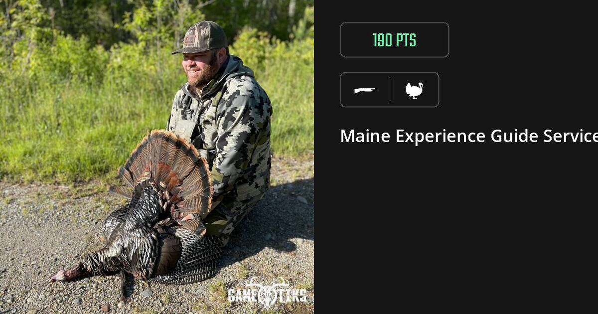 Turkey harvest on Gametiks