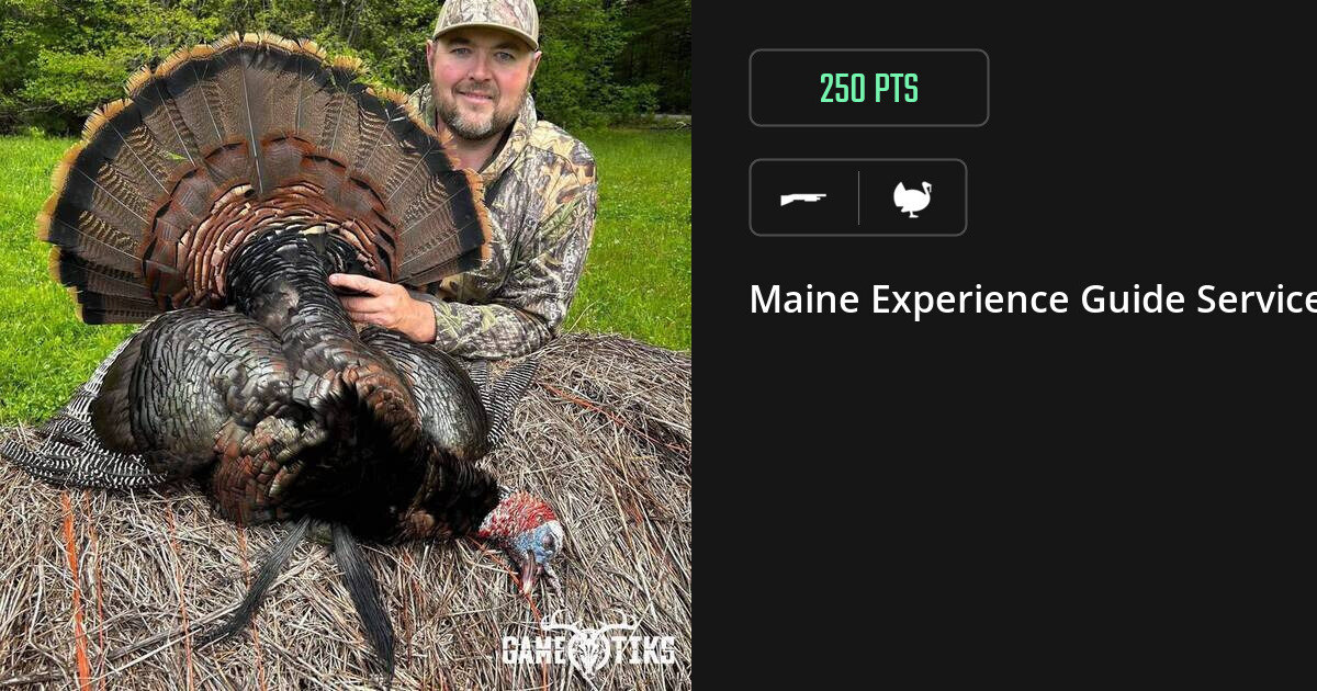 Turkey harvest on Gametiks