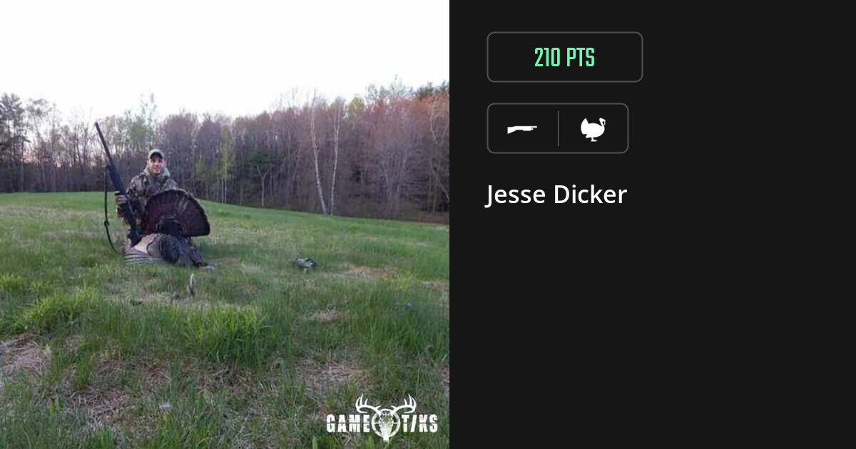 Turkey harvest on Gametiks