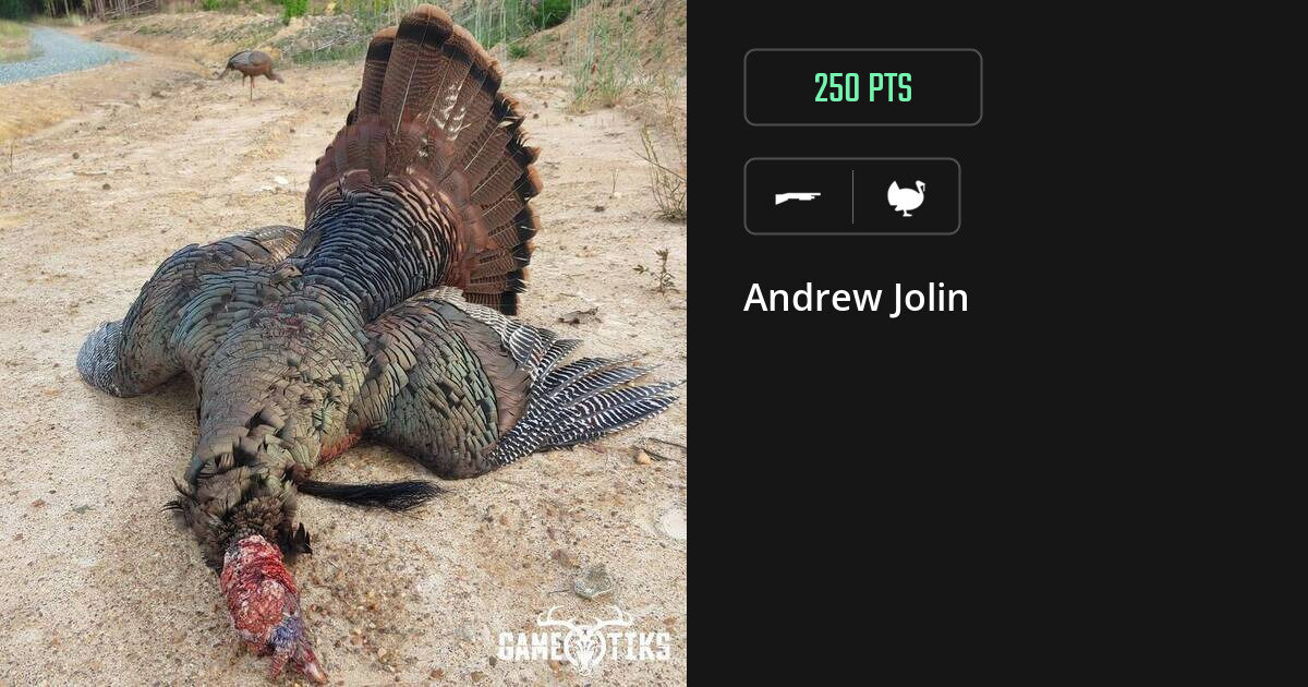 Turkey harvest on Gametiks