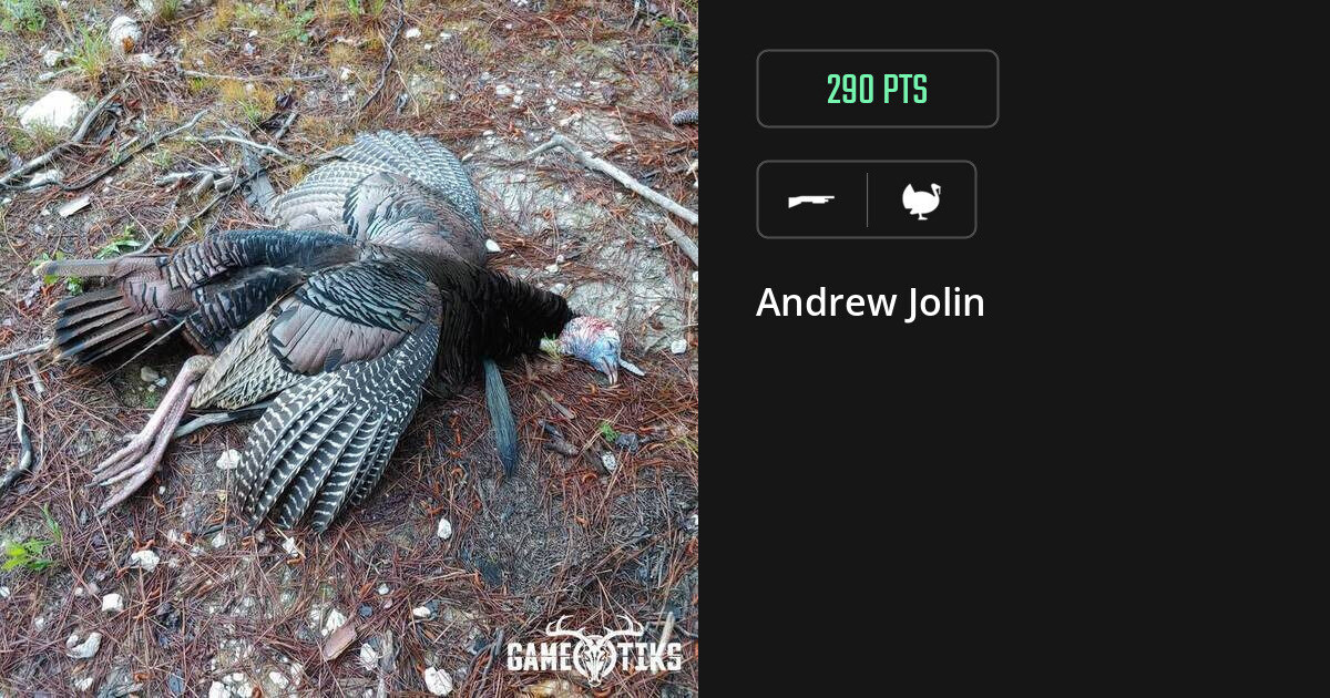 Turkey harvest on Gametiks