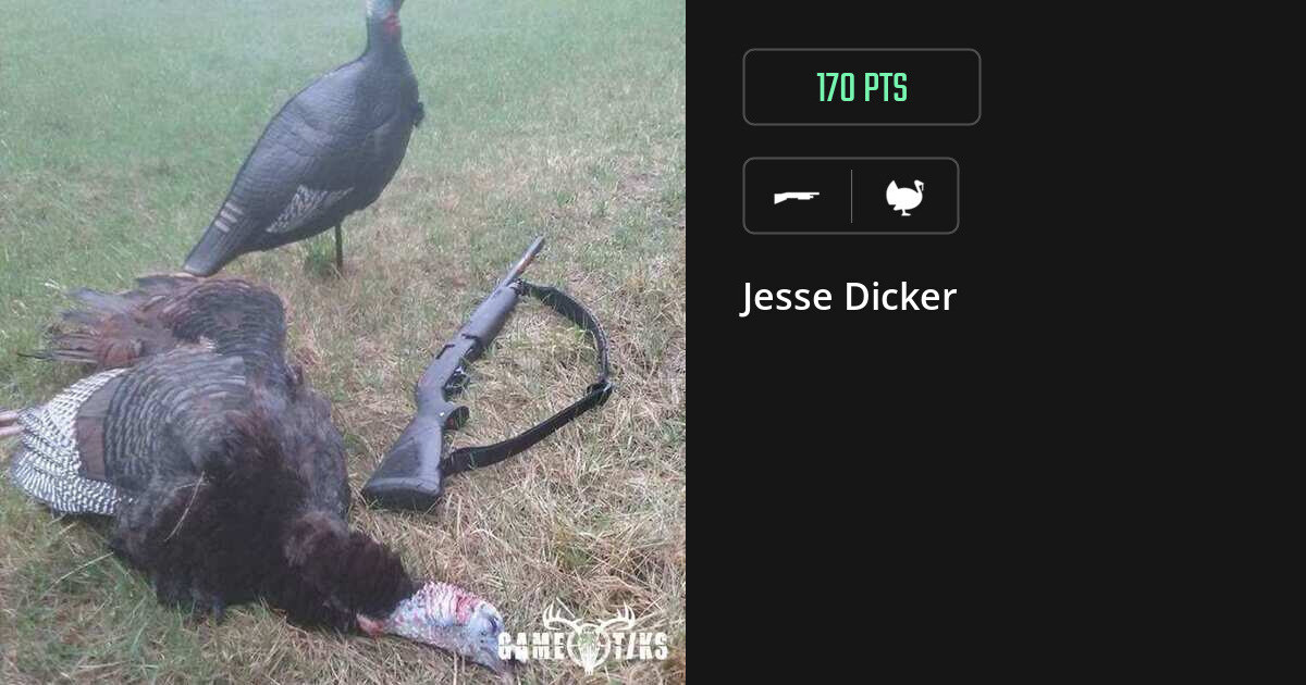 Turkey harvest on Gametiks