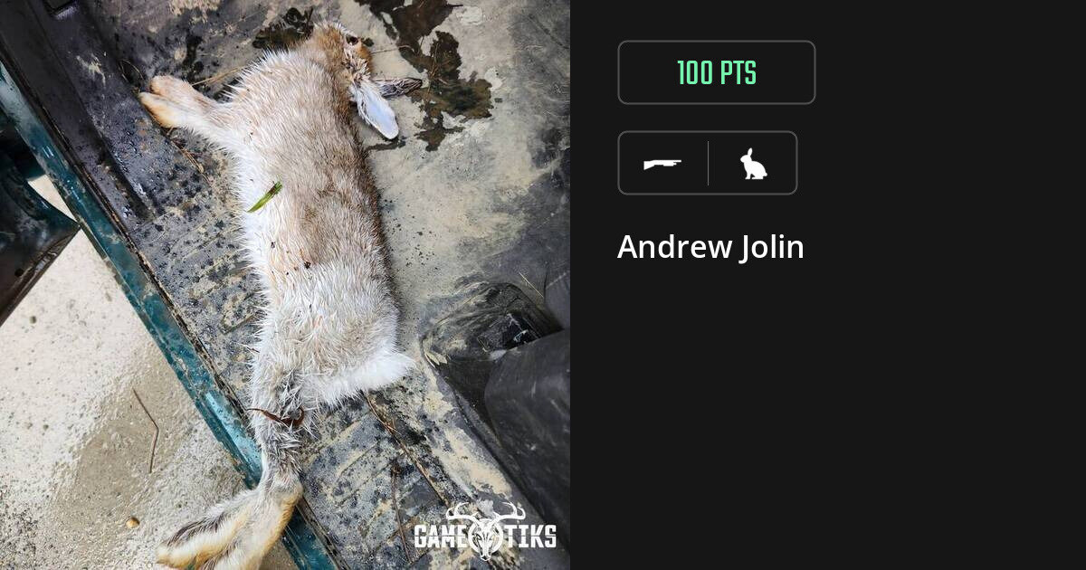 Rabbit harvest on Gametiks