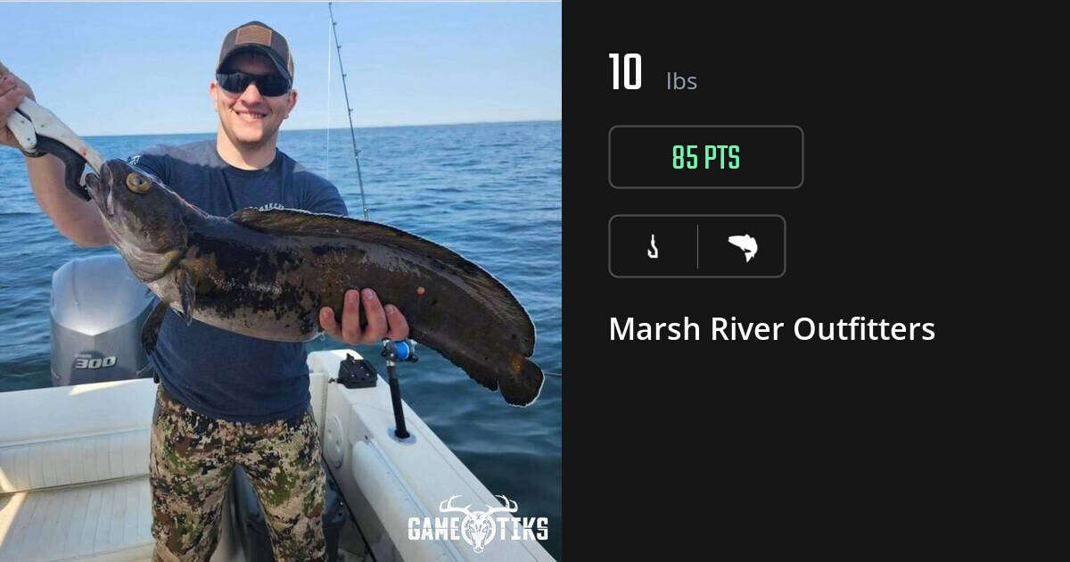 Saltwater fish harvest on Gametiks