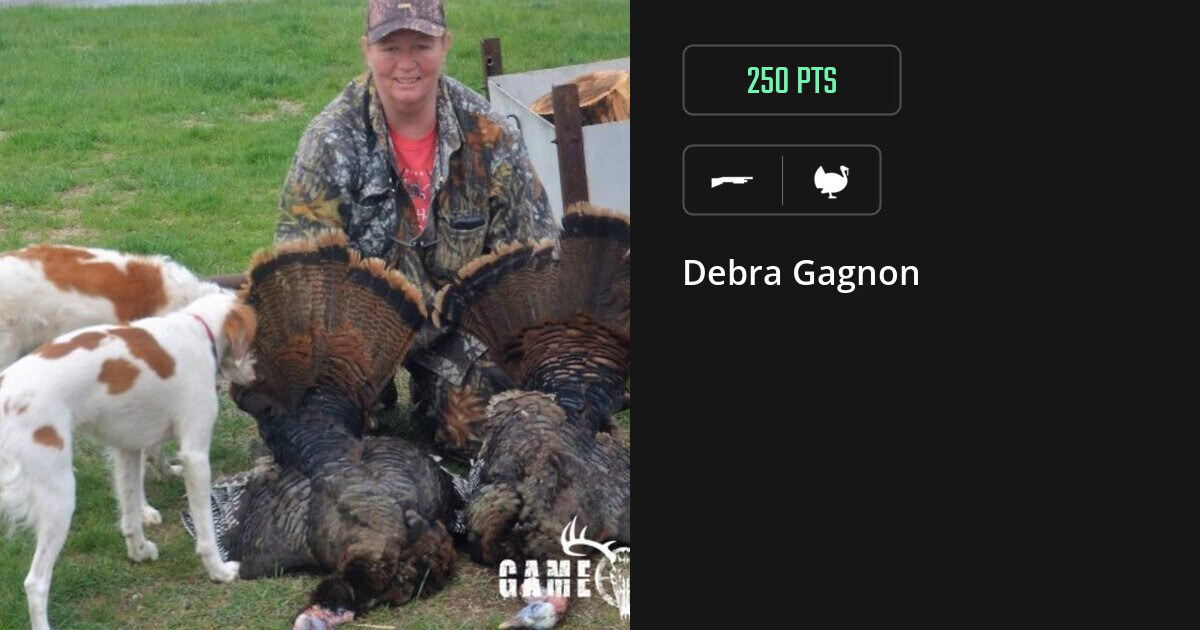 Turkey harvest on Gametiks