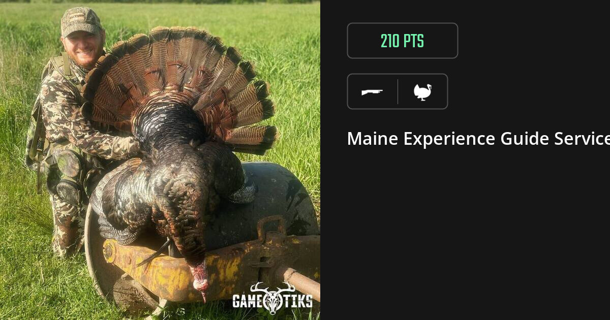 Turkey harvest on Gametiks