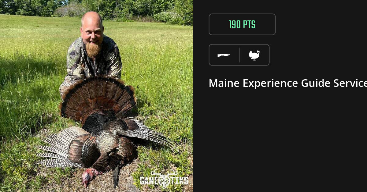 Turkey harvest on Gametiks