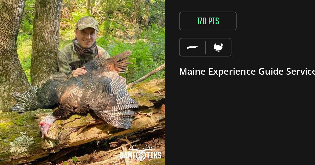 Turkey harvest on Gametiks