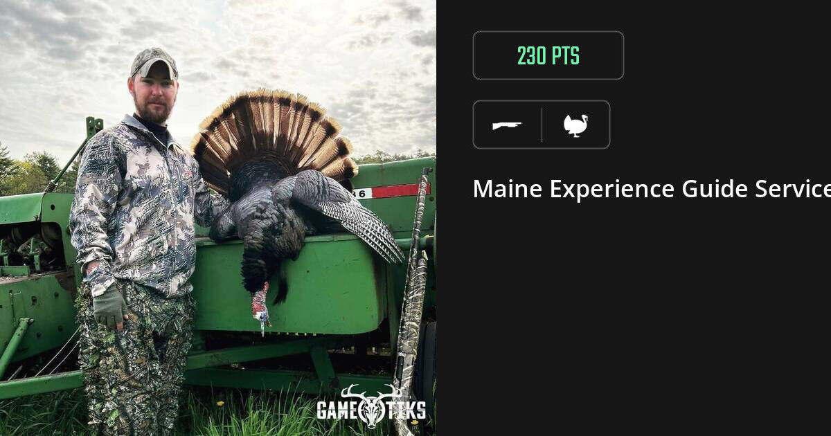 turkey harvest by Maine Experience Guide Service