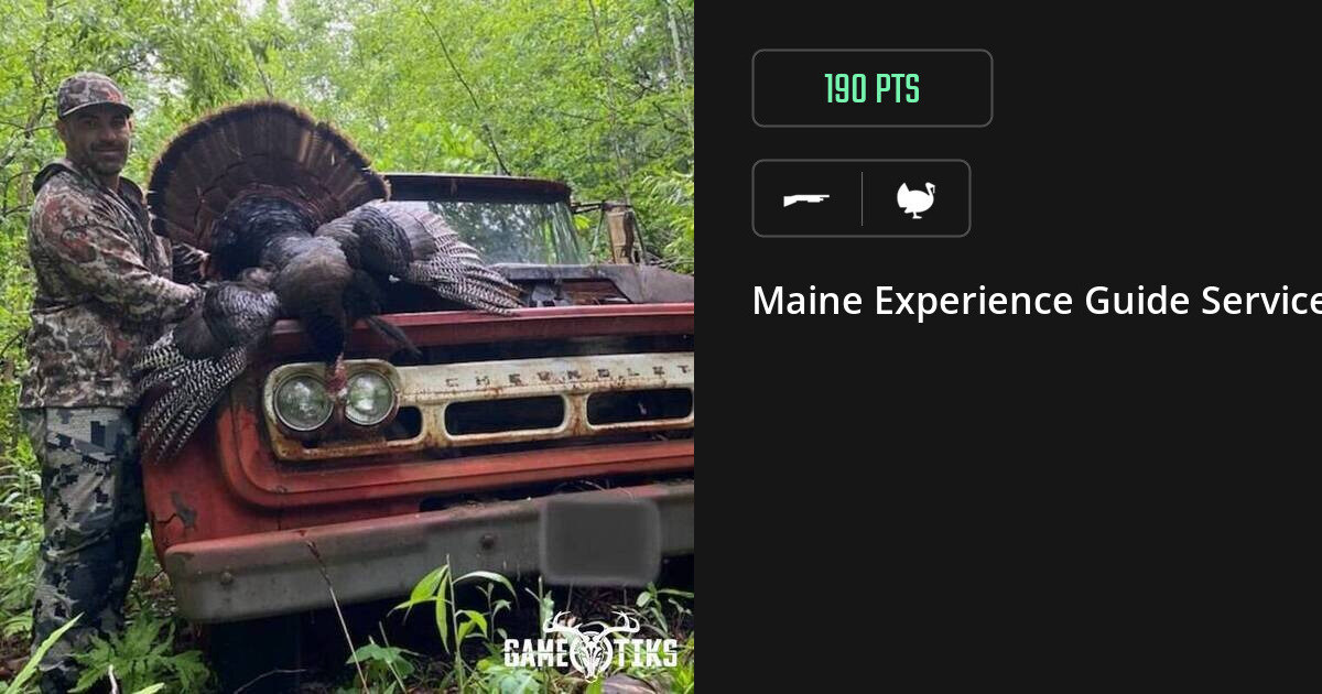 turkey harvest by Maine Experience Guide Service