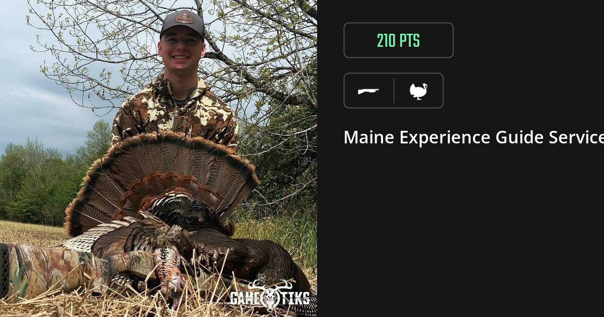 turkey harvest by Maine Experience Guide Service