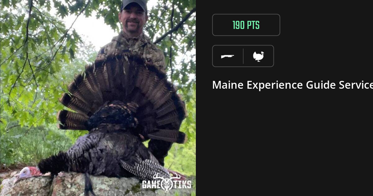 turkey harvest by Maine Experience Guide Service