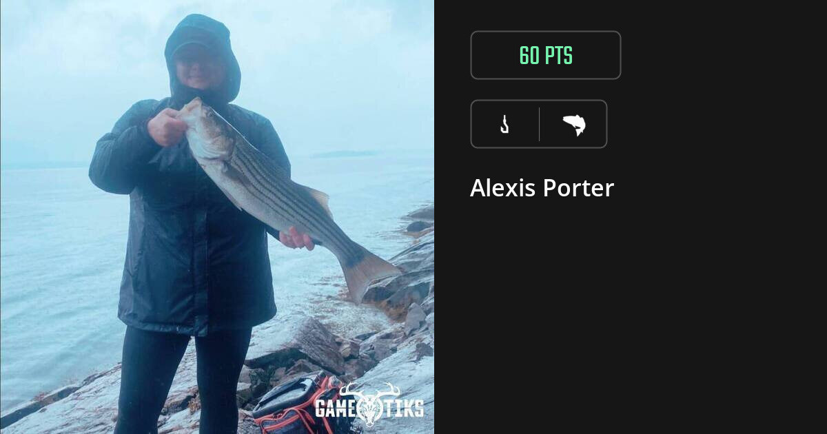 saltwater_fish harvest by Alexis Porter
