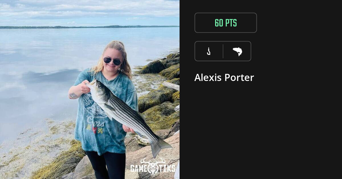 saltwater_fish harvest by Alexis Porter