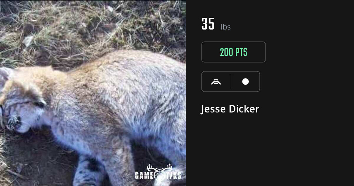 Miscellaneous harvest on Gametiks