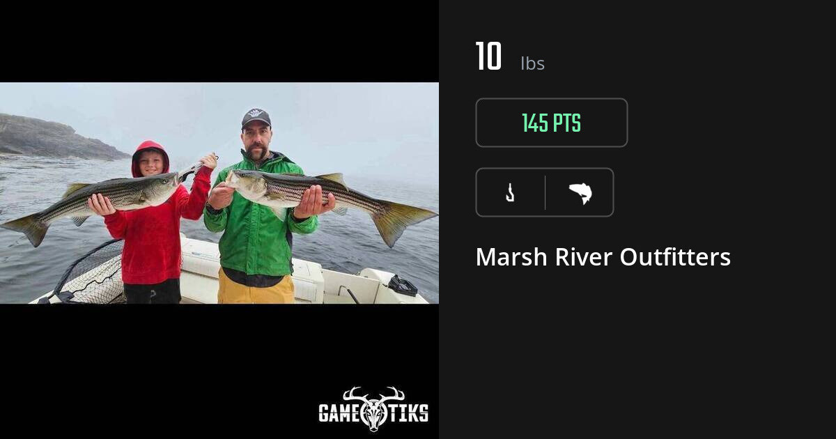 Saltwater fish harvest on Gametiks