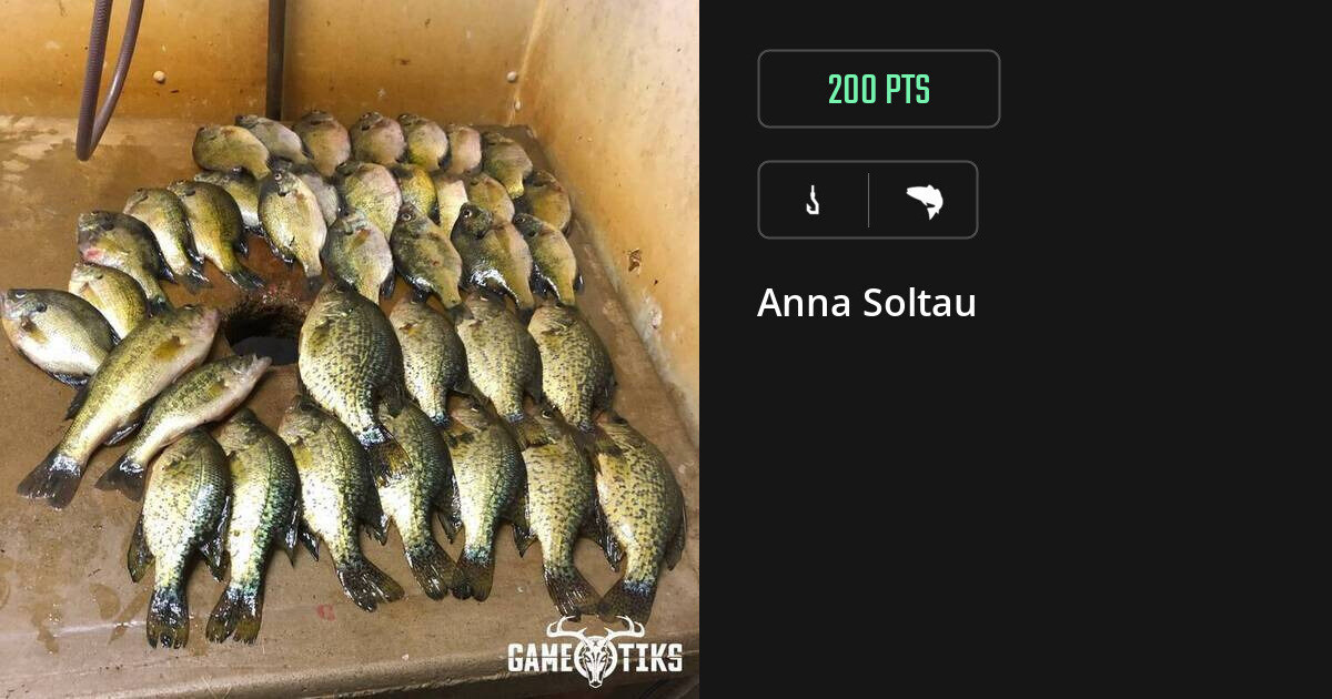 saltwater_fish harvest by Anna Soltau