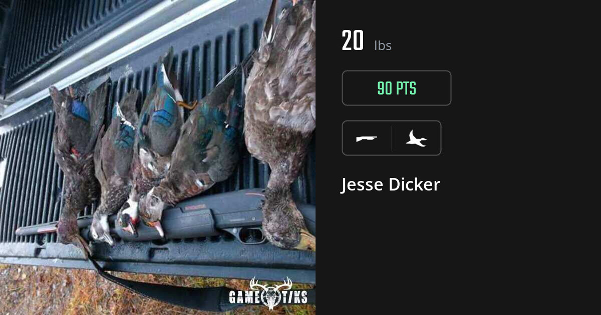 Waterfowl harvest on Gametiks