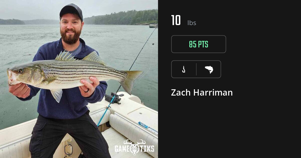 Saltwater fish harvest on Gametiks