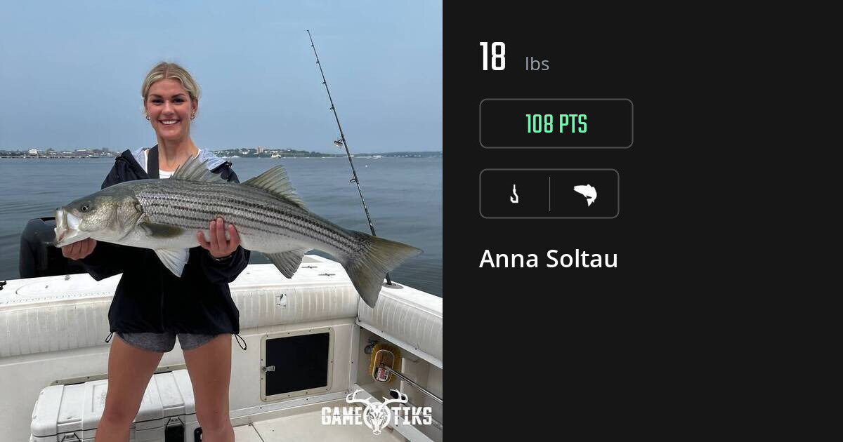 saltwater_fish harvest by Anna Soltau