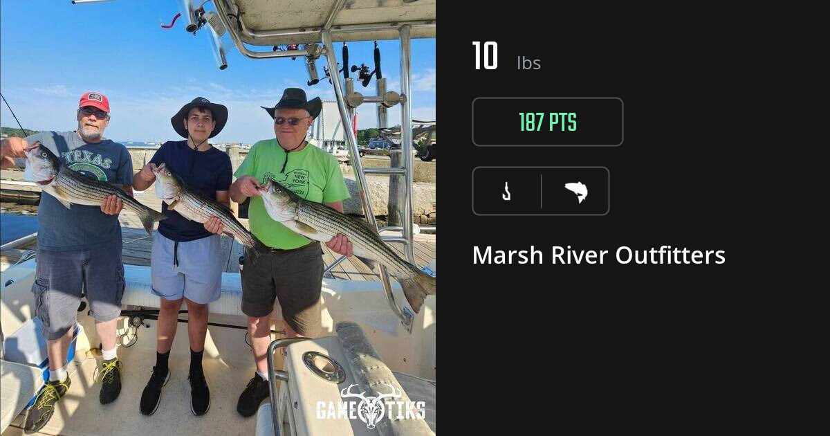 Saltwater fish harvest on Gametiks