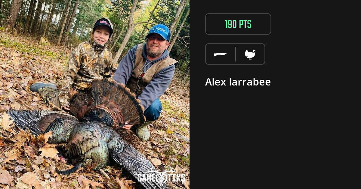 Turkey harvest on Gametiks