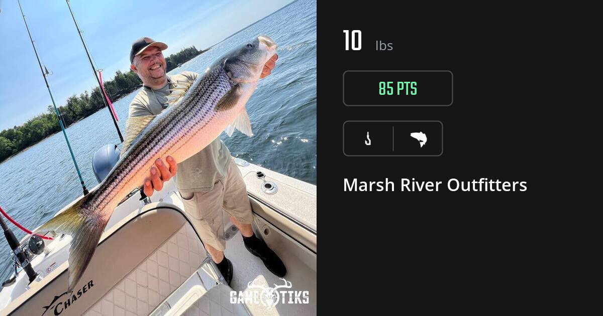 Saltwater fish harvest on Gametiks