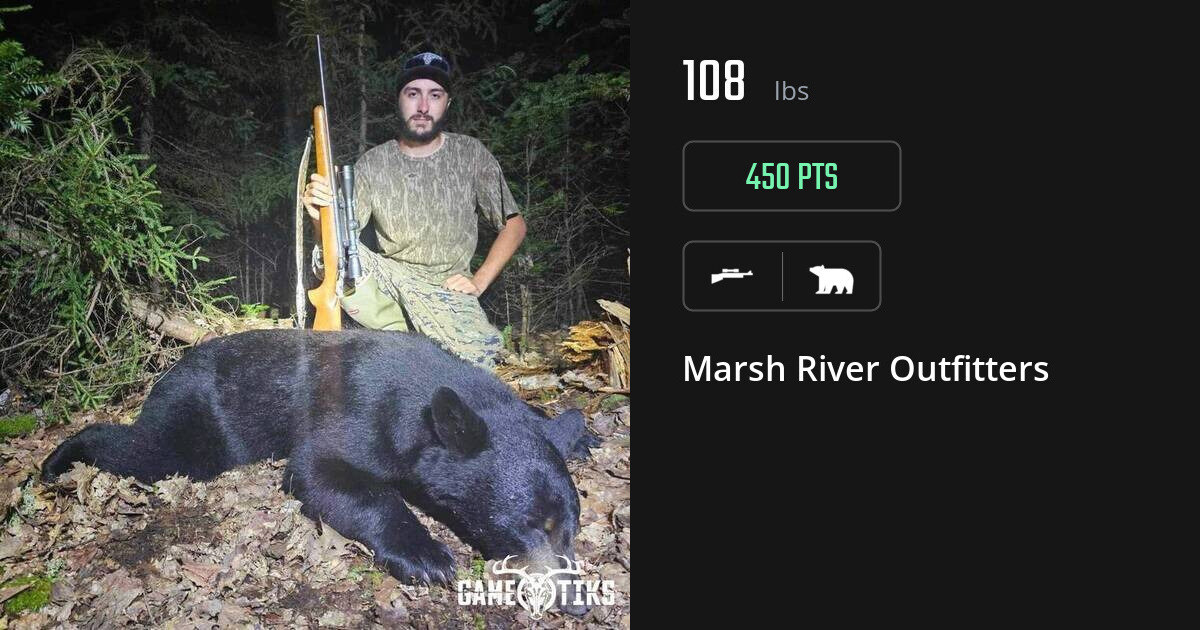 Bear harvest on Gametiks