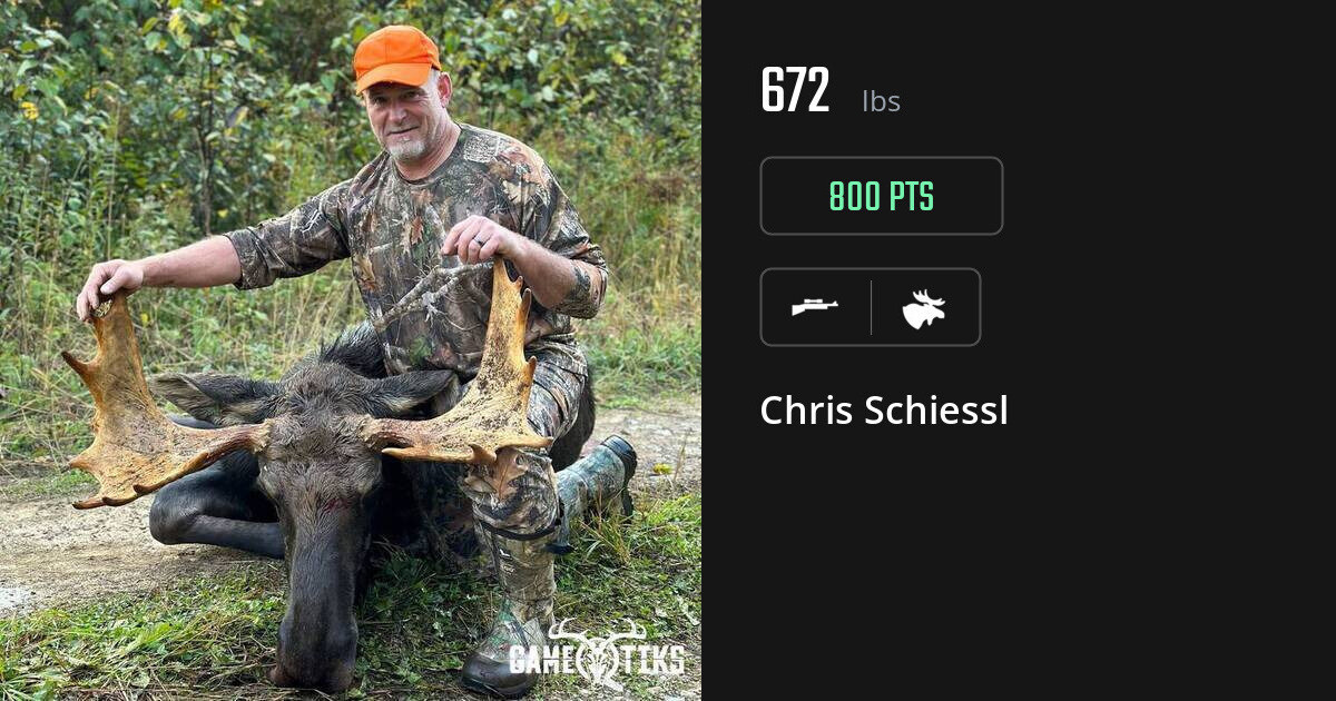 moose harvest by Chris Schiessl