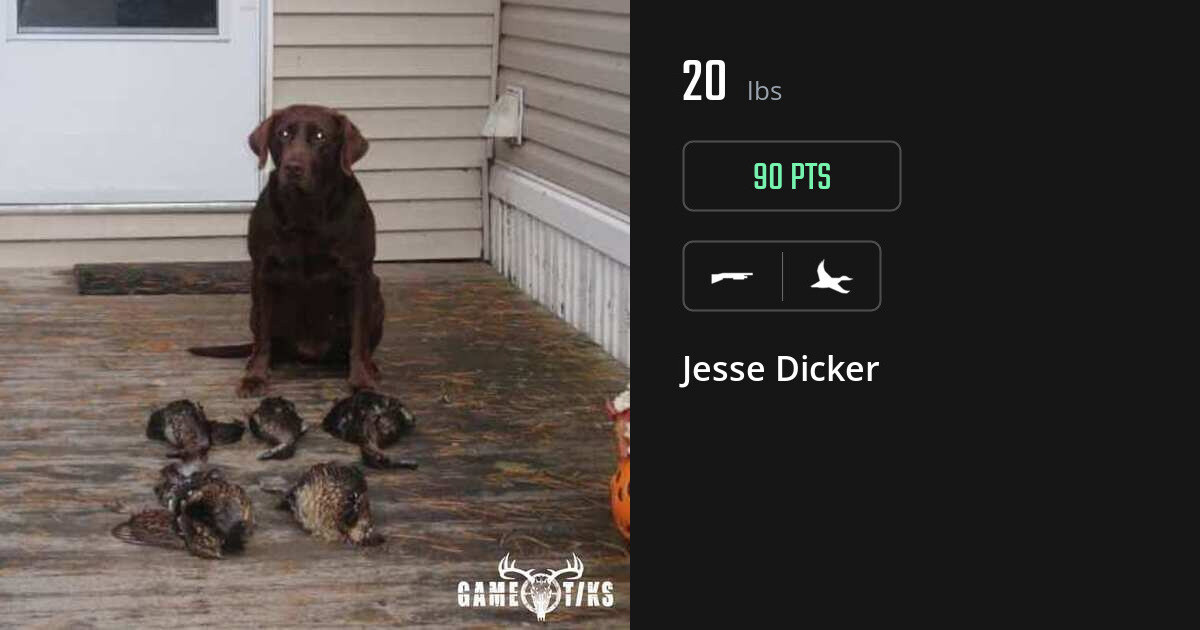 waterfowl harvest by Jesse Dicker