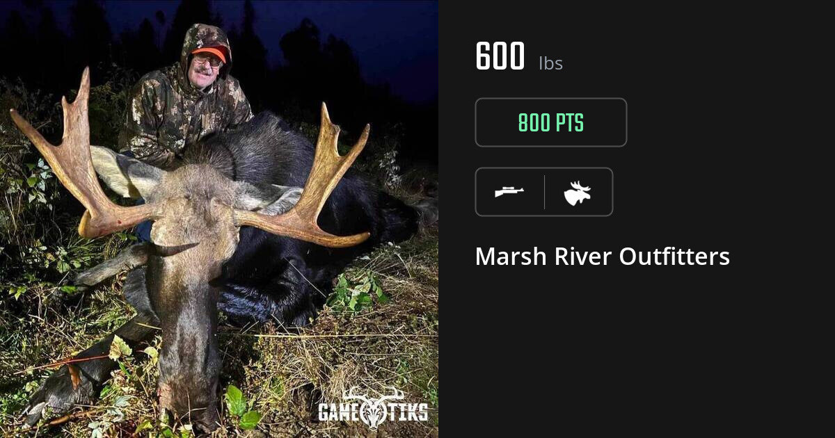 Moose harvest on Gametiks